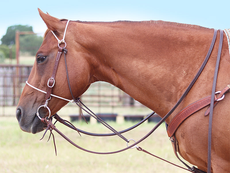 Headsetter for Horses: Ultimate Guide to Perfect Hoof Care