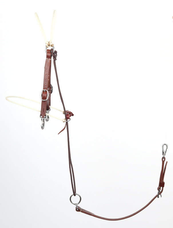 Dennis Moreland Game Changer Headsetter VVSaddlery